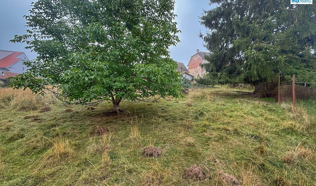 Prodej stavebního pozemku 1 285 m², Zbůch – náhled fotky 9