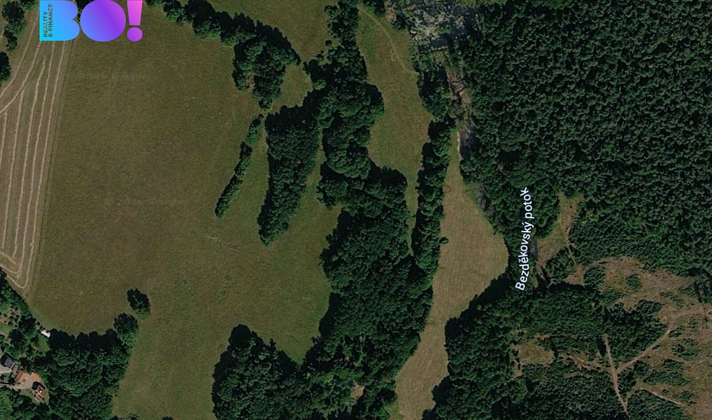 Prodej pole 1 600 m², Přimda – náhled fotky 2