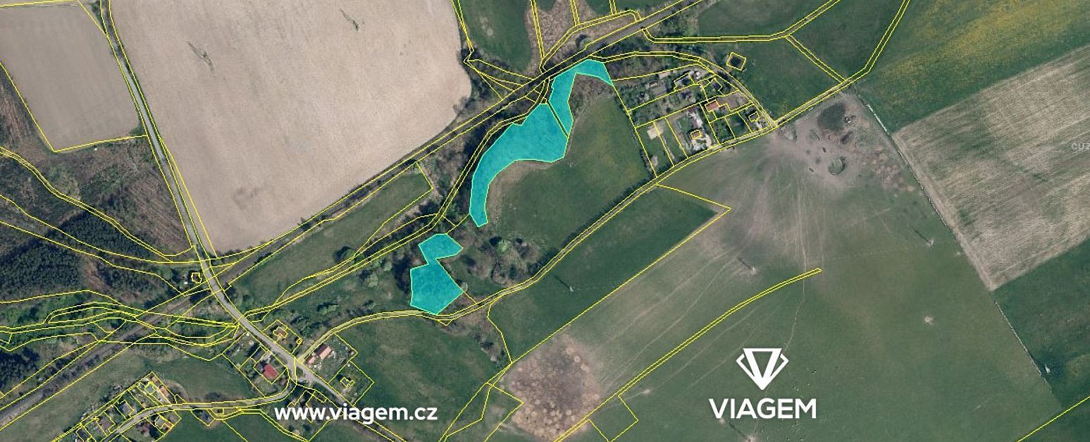 Prodej lesa 6 558 m²