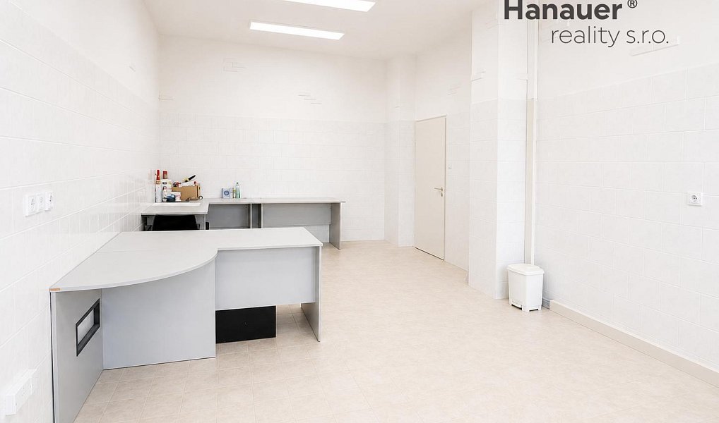 Pronájem komerčního objektu (jiného typu) 127 m², Ústí nad Labem – náhled fotky 3