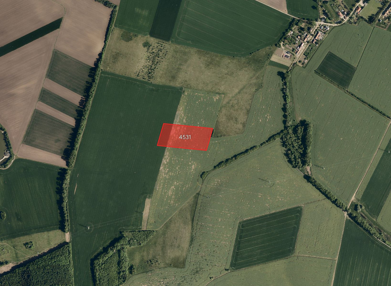 Prodej pole 24 656 m²