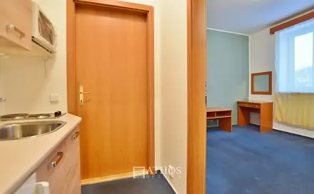 Pronájem bytu 1+kk 27 m², Horova, Brno - Žabovřesky