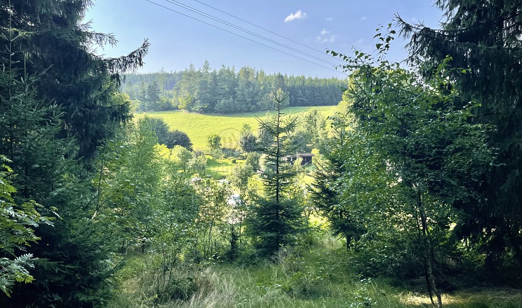 Prodej zahrady 594 m², Borová – náhled fotky 2
