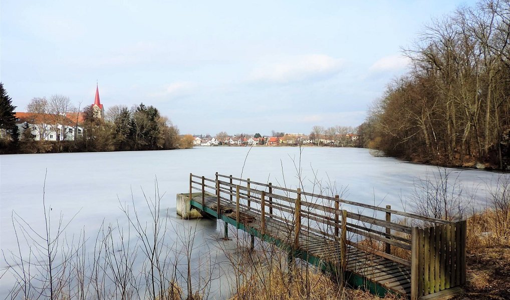 Prodej komerčního objektu (jiného typu) 5 000 m², Telč – náhled fotky 21