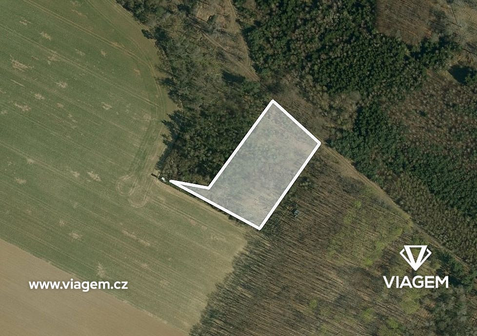 Prodej lesa 980 m²