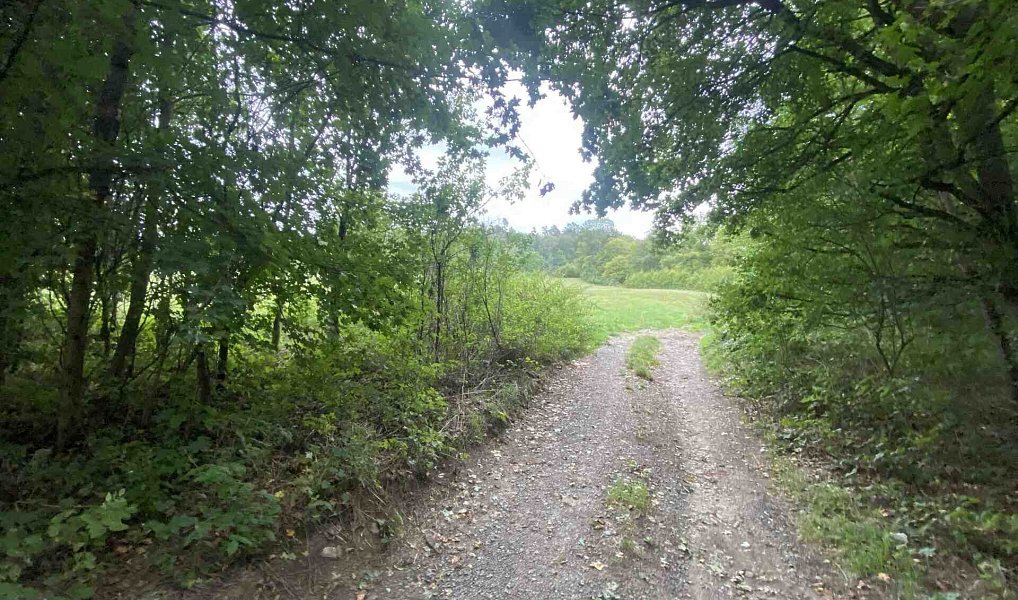 Prodej pole 950 m², Potštejn – náhled fotky 3