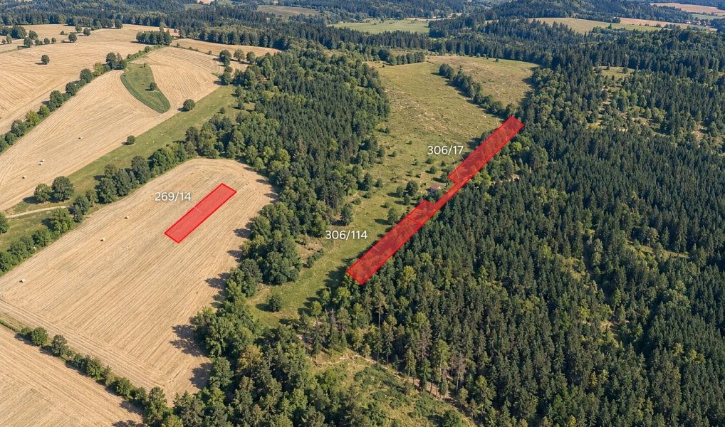 Prodej louky 3 432 m², Vižina – náhled fotky 2