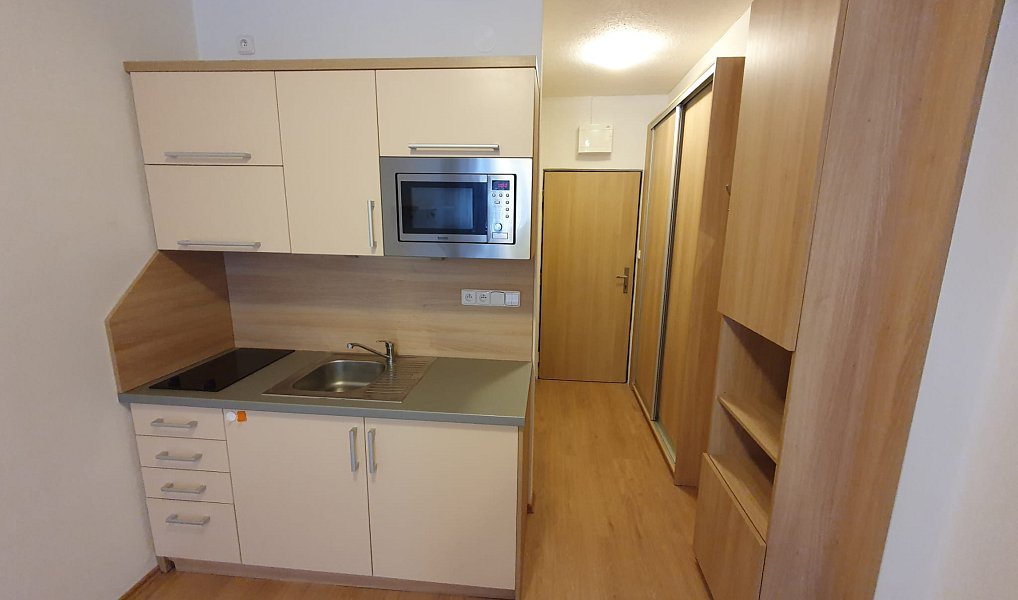 Pronájem bytu 1+kk 20 m², Všemina – náhled fotky 2