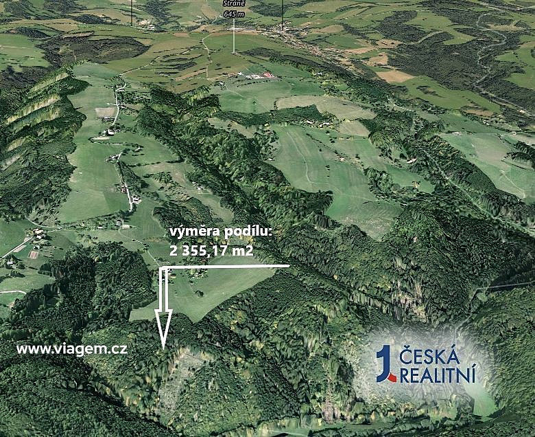 Prodej lesa 2 355 m² – fotografie 2
