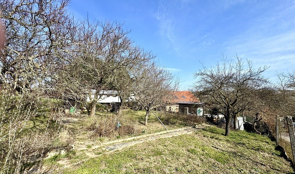 Prodej zahrady 511 m², Dyje – náhled fotky 8
