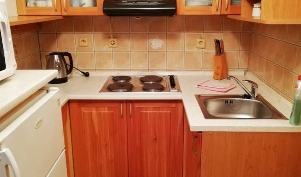 Pronájem ubytovacího objektu 80 m², Vamberk – náhled fotky 7