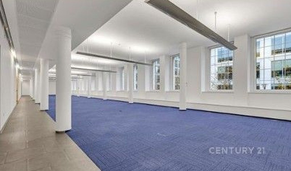 Pronájem kanceláře 416 m², Praha – náhled fotky 3