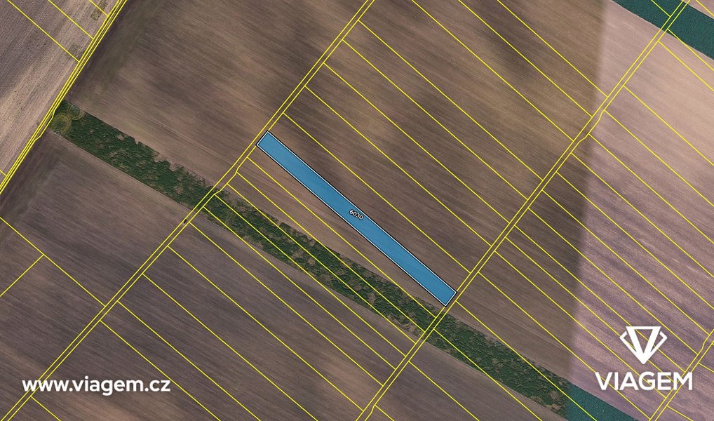 Prodej lesa 437 m², Šlapanice – náhled fotky 4