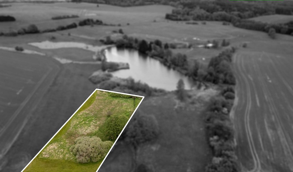 Prodej louky 5 250 m², Mladý Smolivec – náhled fotky 5