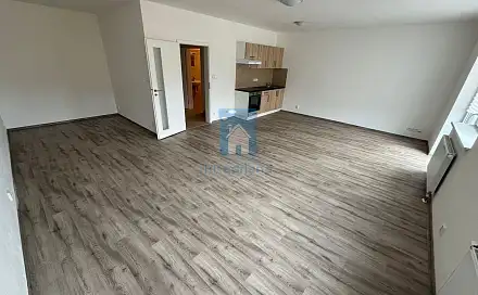 Pronájem bytu 1+kk 54 m²