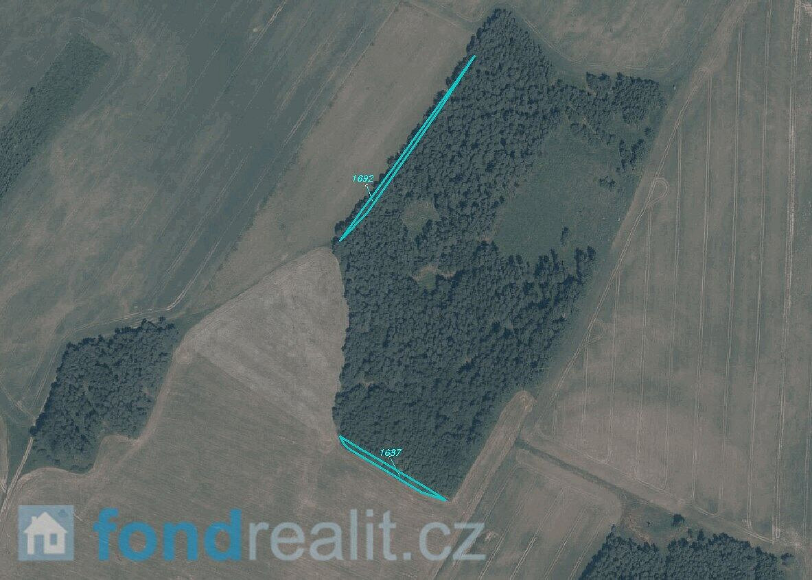 Prodej pole 5 703 m² – fotografie 4