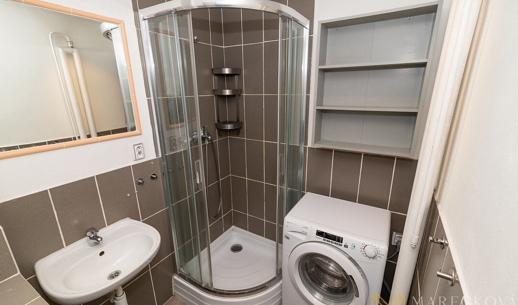 Prodej bytu 1+1 38 m², Plzeň – náhled fotky 3