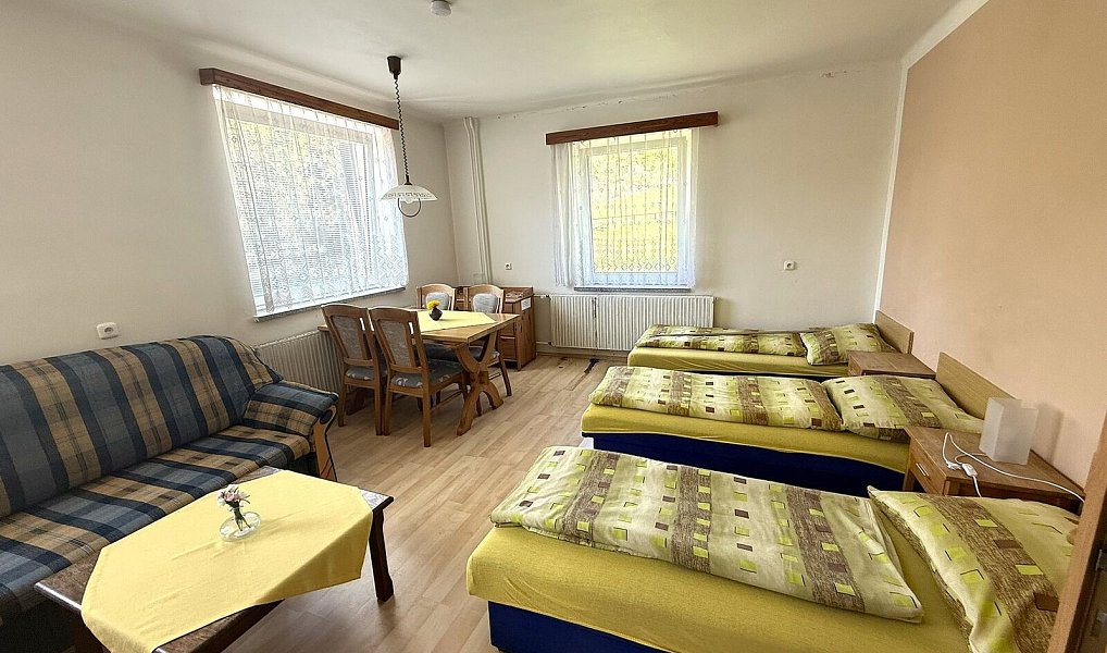Prodej ubytovacího objektu 600 m², Horní Město – náhled fotky 16