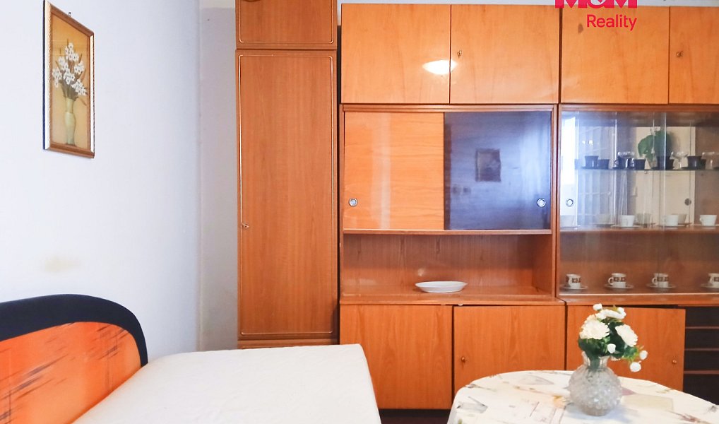 Pronájem bytu atypického 23 m², Opava – náhled fotky 2