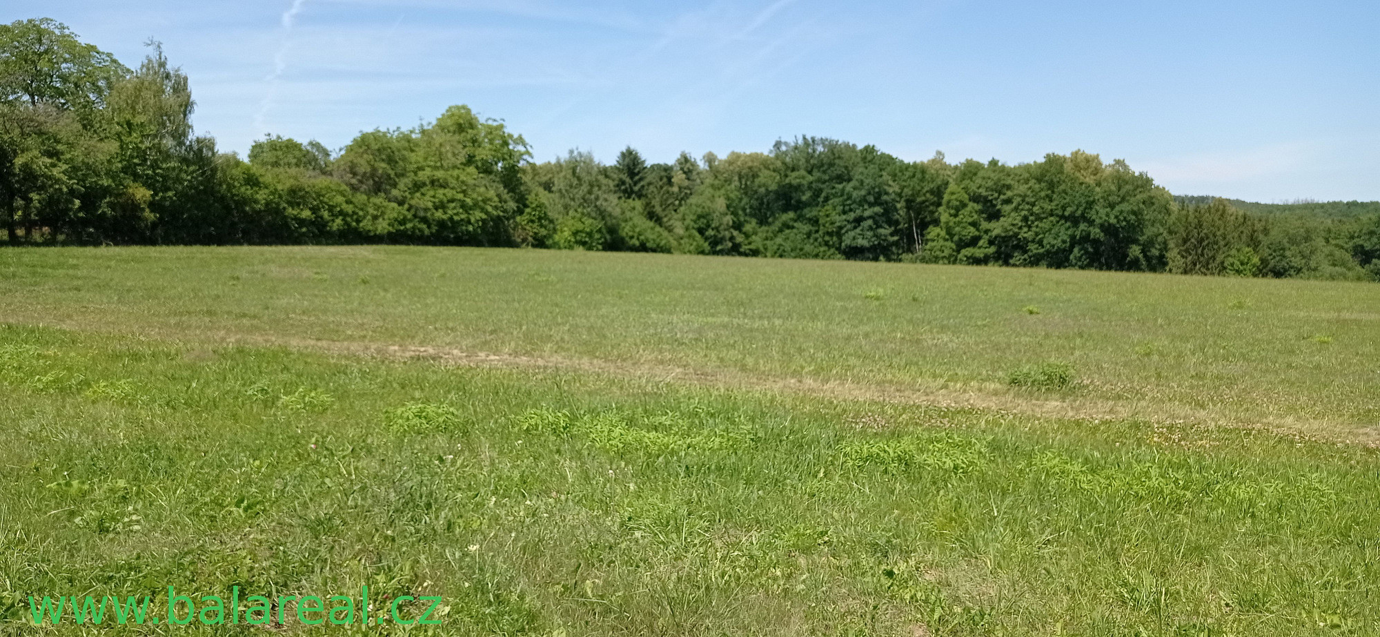Prodej pole 9 513 m² – fotografie 2