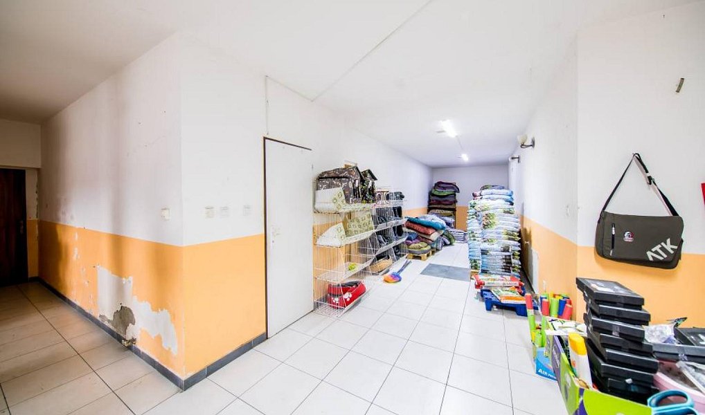 Prodej obchodních prostor 550 m², Kardašova Řečice – náhled fotky 5