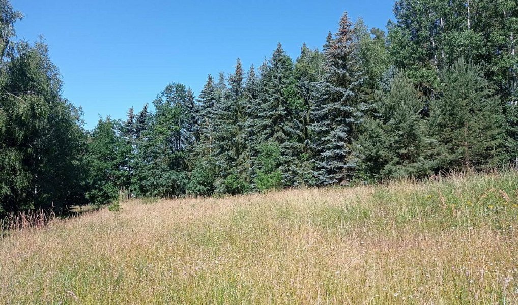 Prodej stavebního pozemku 5 357 m², Tuřany – náhled fotky 6