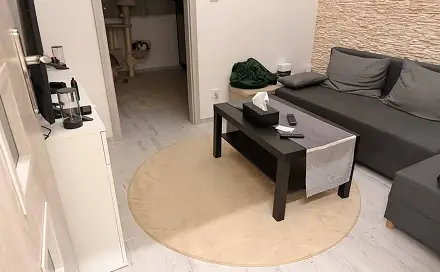 Pronájem bytu 3+1 80 m², Na Jarově, Praha 3 - Žižkov