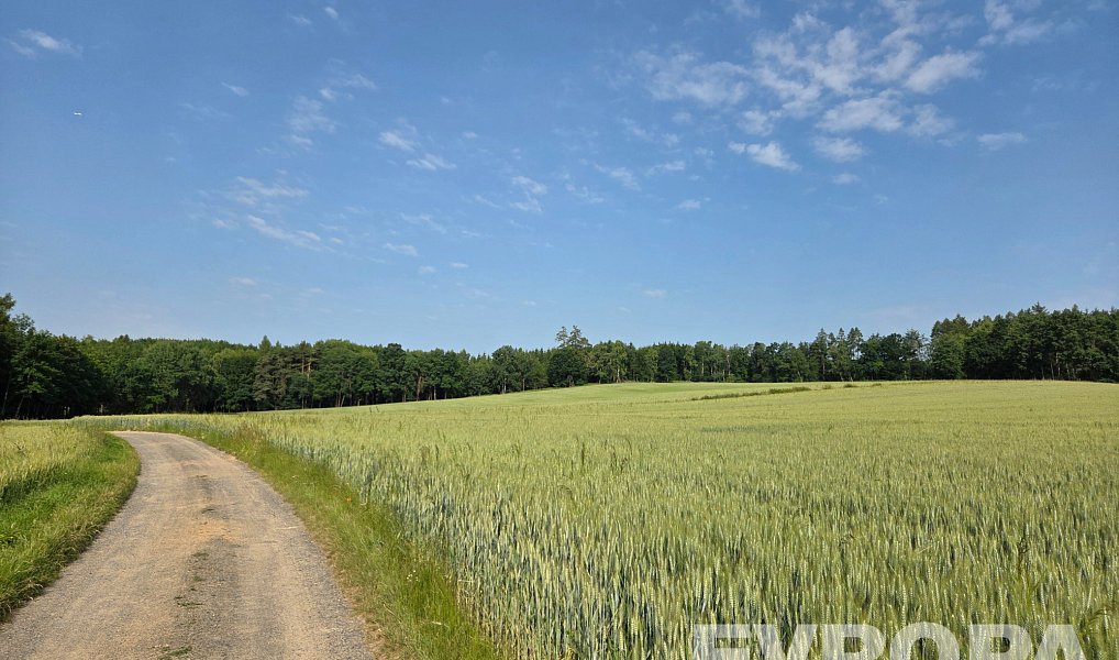 Prodej pole 53 749 m², Kunice – náhled fotky 5