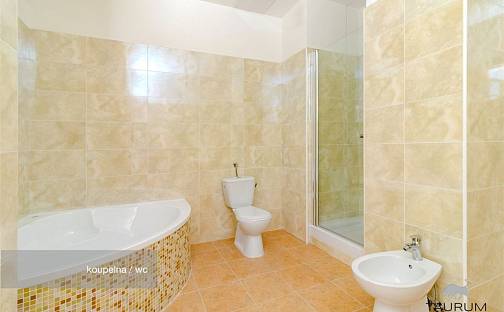 Prodej bytu 2+1 74 m², Rozvojová zóna, Janovice nad Úhlavou, okres Klatovy