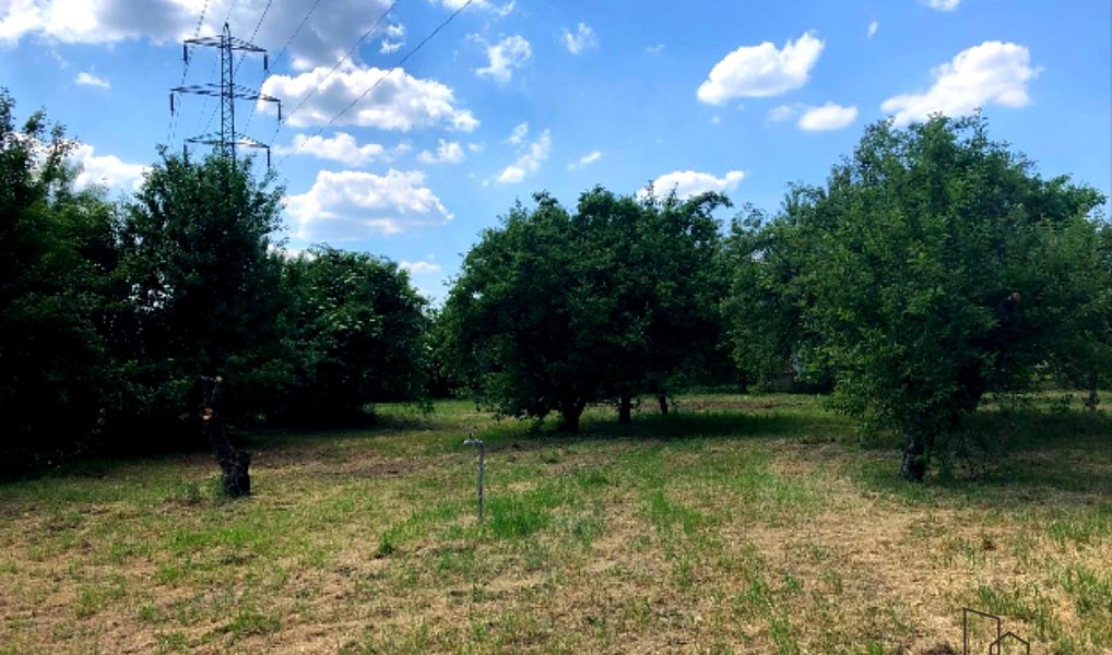 Prodej zahrady 1 611 m², Hodonín – náhled fotky 8