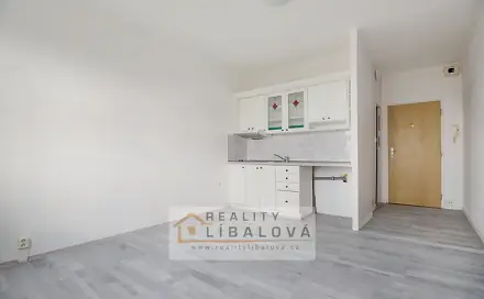 Pronájem bytu 1+kk 20 m², Stará, Ústí nad Labem - Ústí nad Labem-centrum