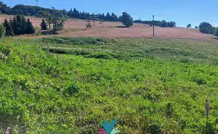 Prodej stavebního pozemku 2 000 m², Osek - Dlouhá Louka, okres Teplice