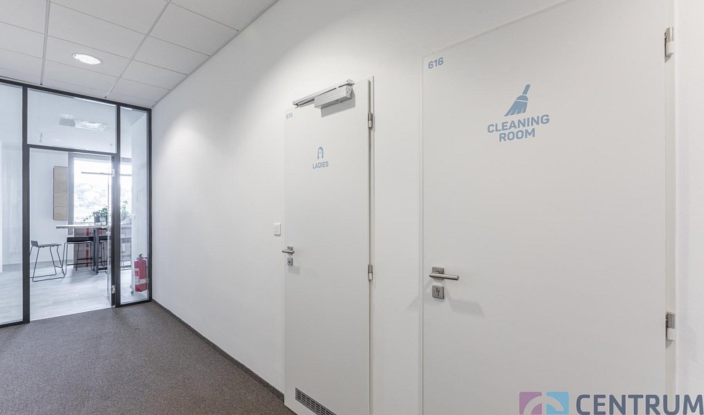 Pronájem kanceláře 584 m², Praha – náhled fotky 12