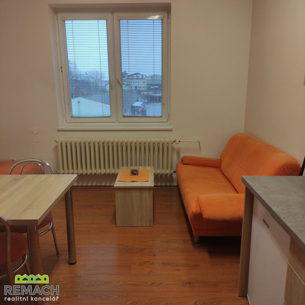 Pronájem bytu 1+1 35 m²
