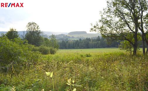 Prodej pozemku 8 040 m², Borová Lada, okres Prachatice