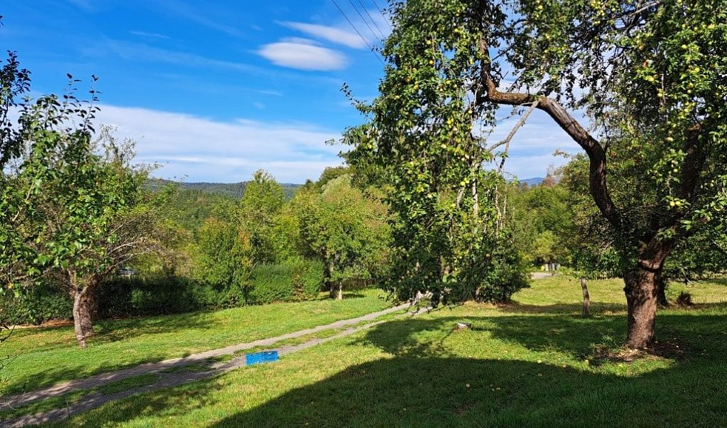 Prodej chalupy 180 m² s pozemkem 2 834 m², Prlov – náhled fotky 32