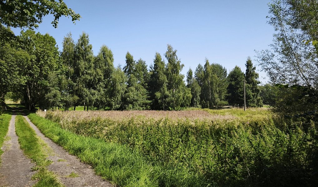 Prodej stavebního pozemku 7 776 m², Varnsdorf – náhled fotky 9