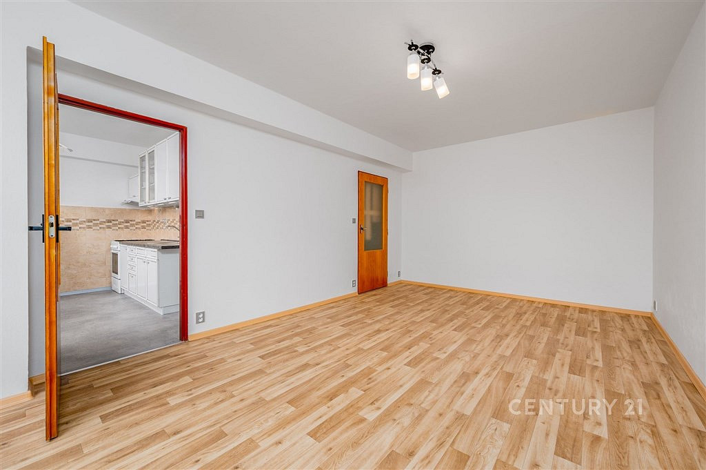 Pronájem bytu 1+1 45 m² — photo 4