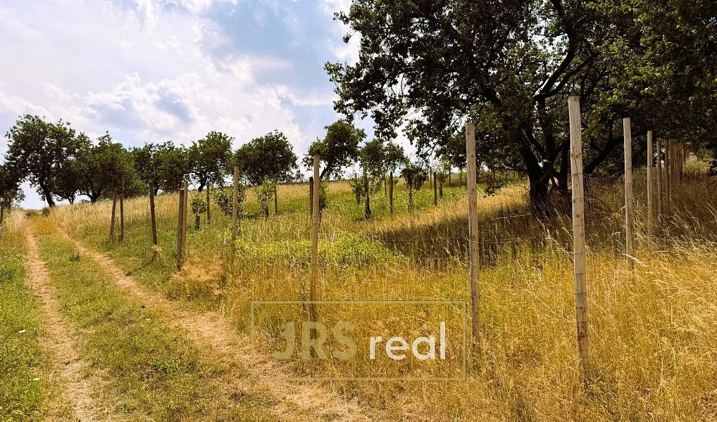 Prodej pole 358 m², Němčičky – náhled fotky 4