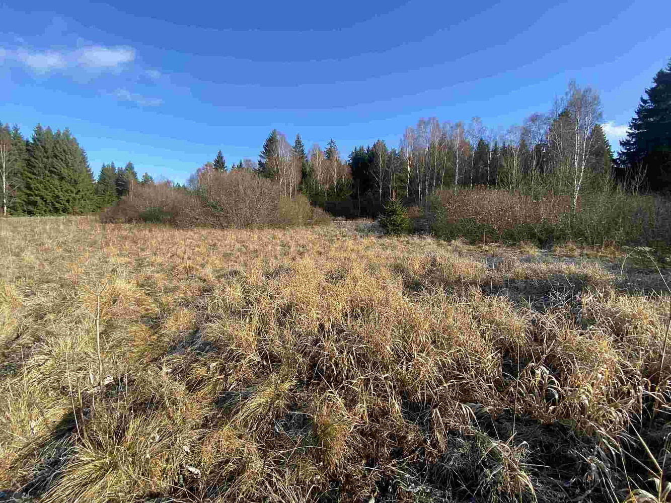 Prodej pole 16 994 m²