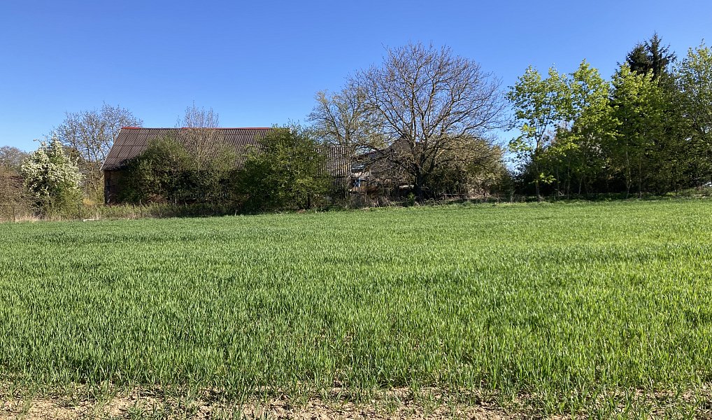 Prodej stavebního pozemku 1 153 m², Rybníček – náhled fotky 3