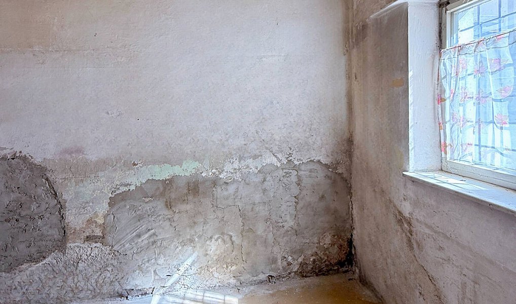 Prodej obchodních prostor 835 m², Prachatice – náhled fotky 36