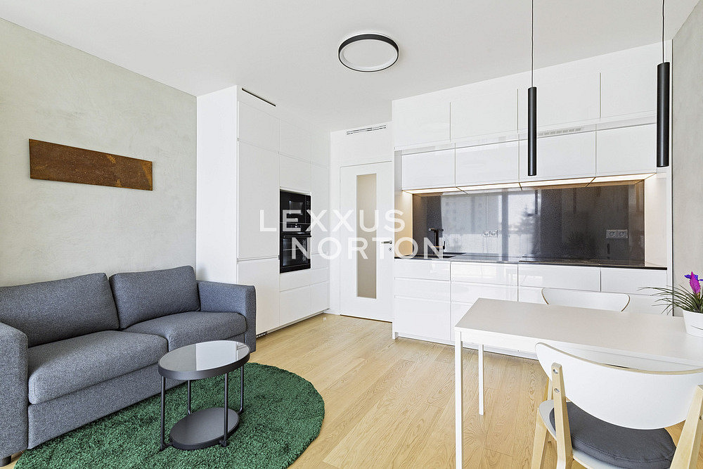 Pronájem bytu 1+kk 32 m² – fotografie 2