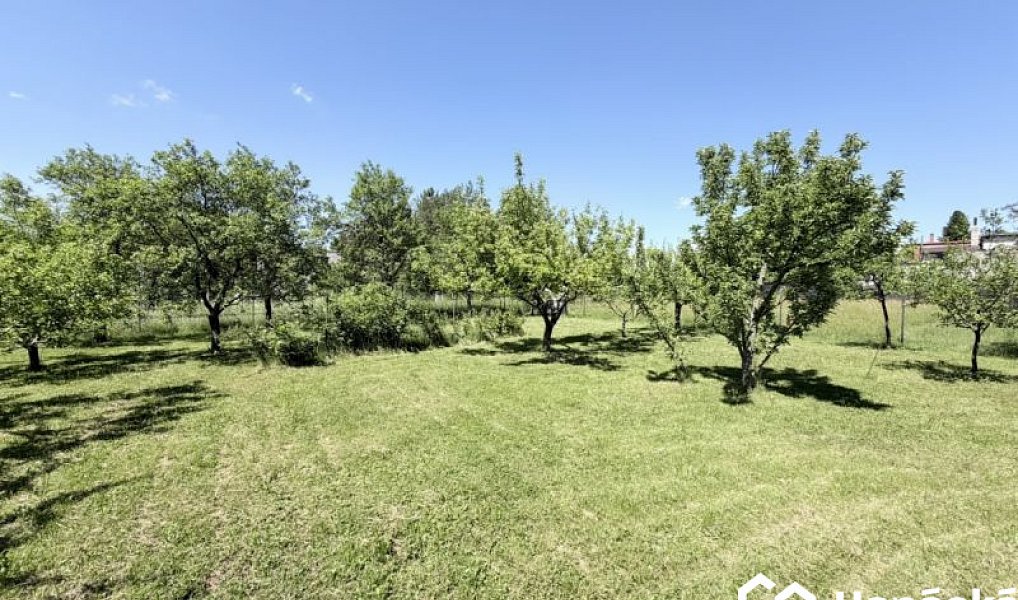 Prodej zahrady 808 m², Jankovice – náhled fotky 21