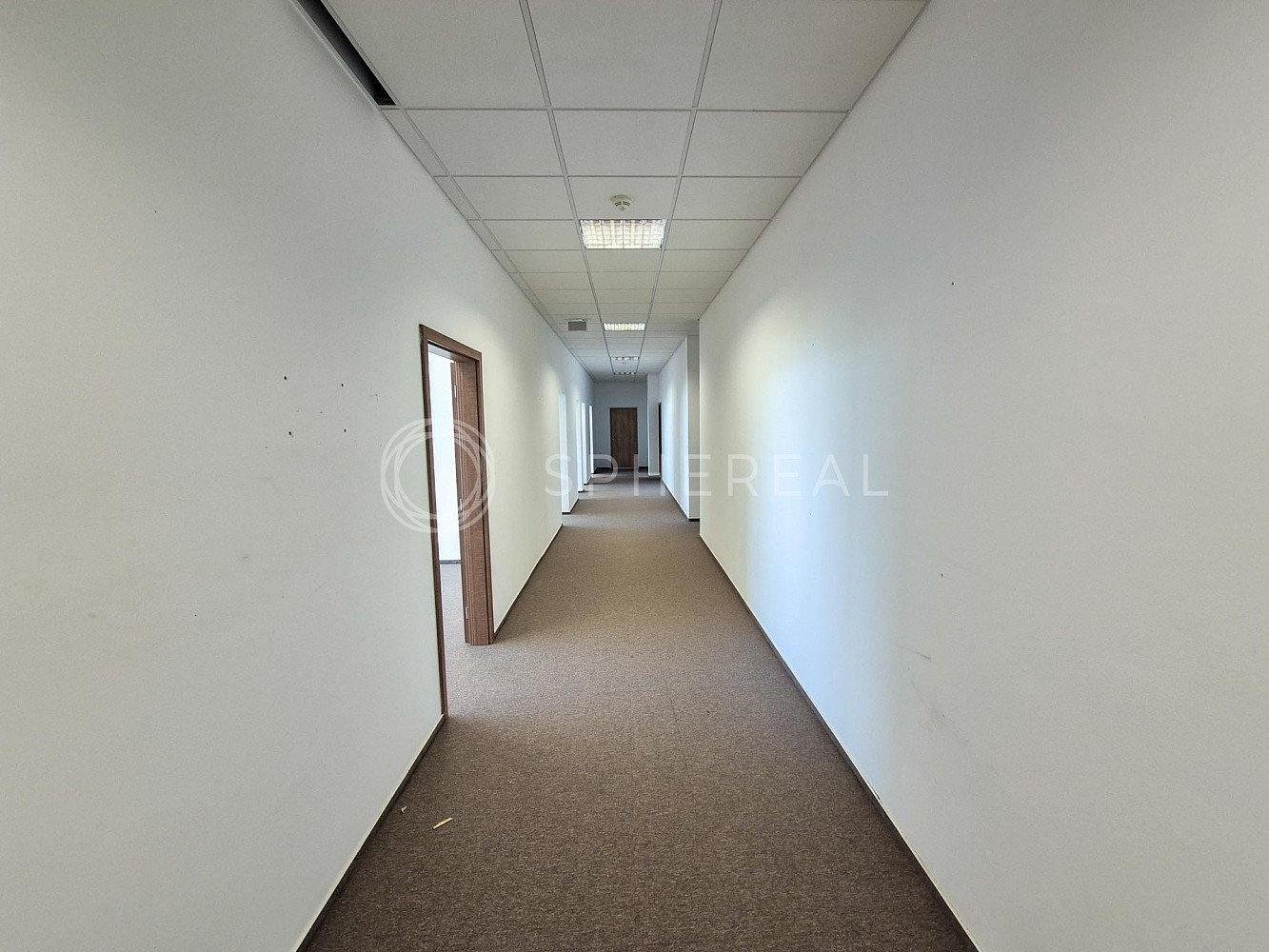 Pronájem kanceláře 237 m² – fotografie 5