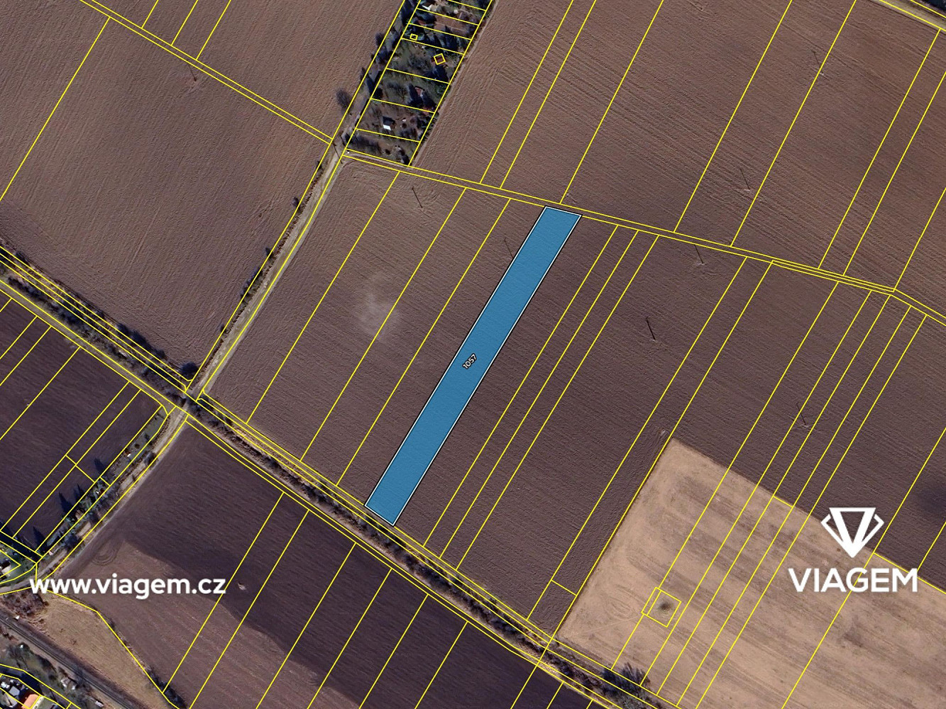 Prodej pole 2 885 m² – fotografie 4
