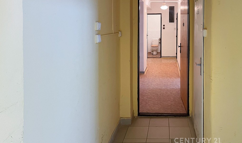 Prodej bytu 1+1 42 m², Vyškov – náhled fotky 8