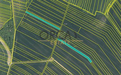 Prodej pole 4 164 m², Koryčany, okres Kroměříž