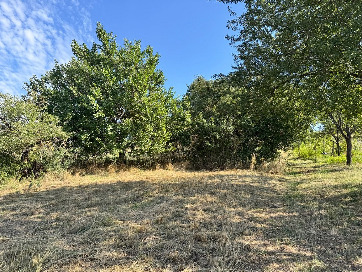 Prodej pole 3 478 m² – fotografie 3