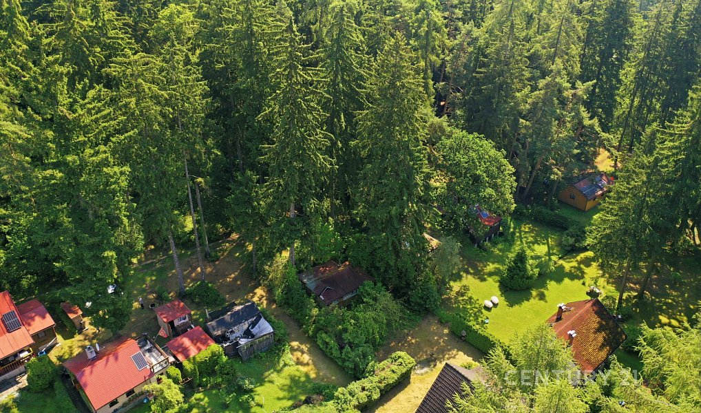 Prodej chaty/chalupy 33 m² s pozemkem 60 m², Tehov – náhled fotky 10